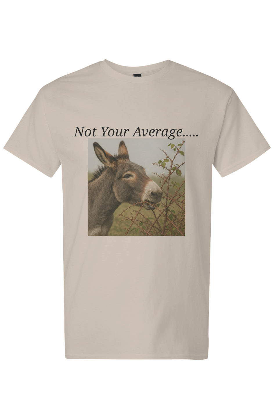 Light Cotton T-Shirt