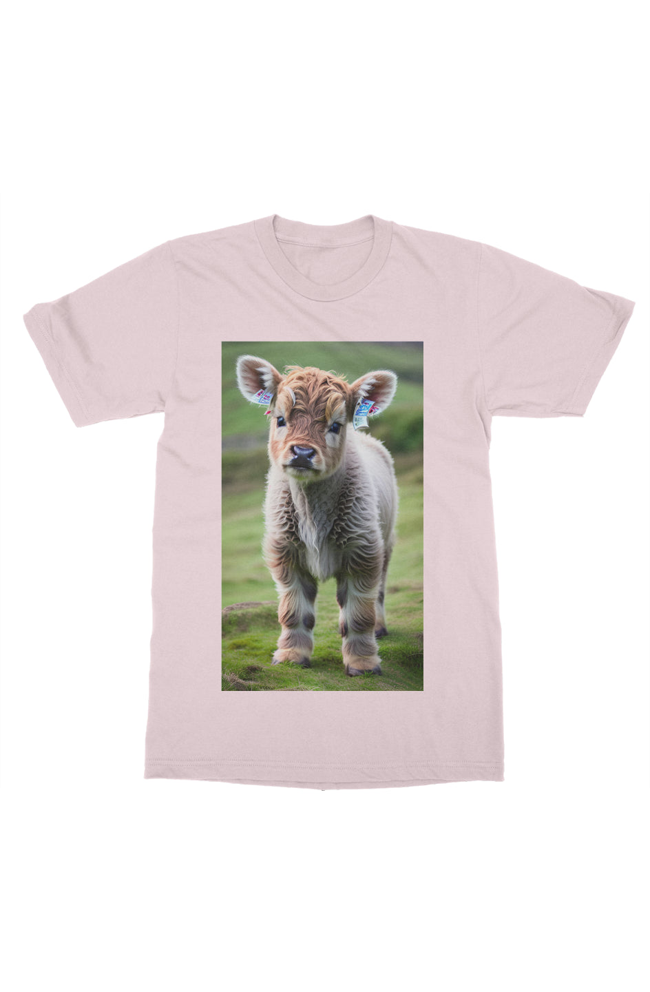Baby cow