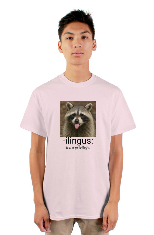 gildan mens tshirt